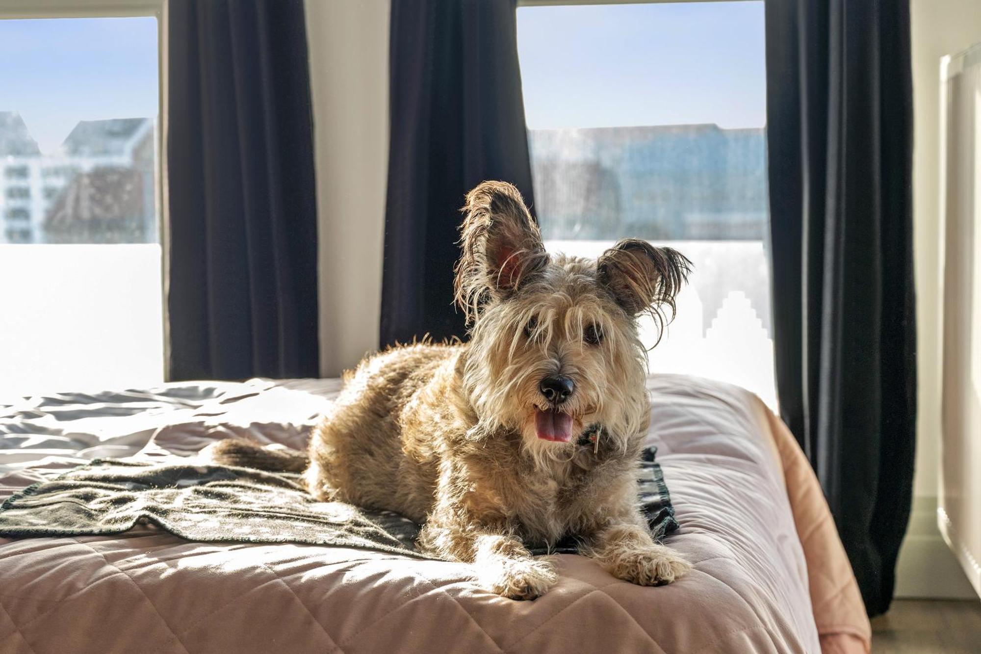 Grano Apartments Gdansk Old Town Spa & Wellness エクステリア 写真