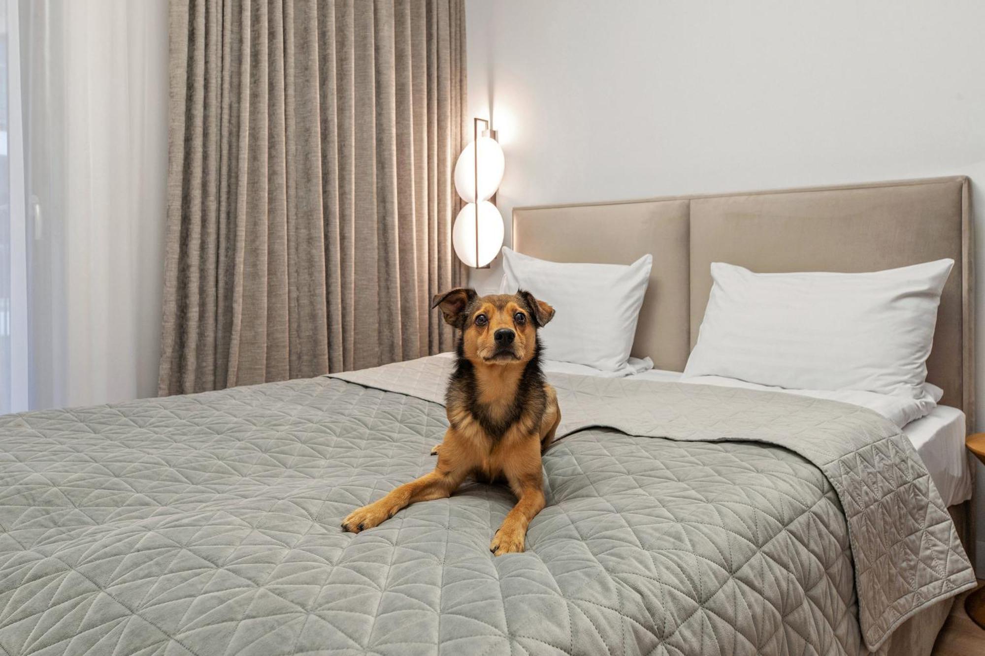 Grano Apartments Gdansk Old Town Spa & Wellness エクステリア 写真
